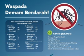 Waspada Penyebaran DBD di Kaltara