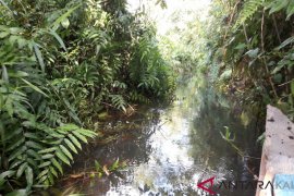 Selama Januari, 12 Orang Meninggal Akibat DBD di Kabupaten Kediri