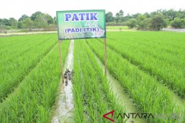 HSS declares organic farming areas