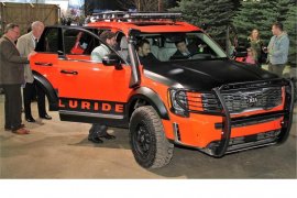 Hyundai perkenalkan Telluride dan Veloster N TCR di NAIAS 2019