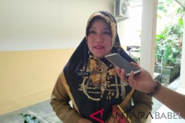 Sejak awal Januari di Bangka tercatat 33 kasus DBD