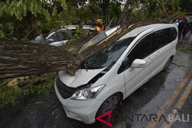 Bali dilanda angin kencang