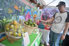 Festival buah dan pertanian Sumsel Page 4 Small