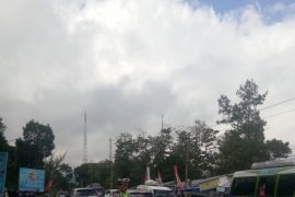 Harga ayam potong di Pasar capai Rp60 ribu/kg