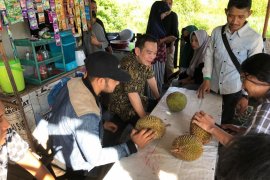 Dorong pengelolaan optimal durian Kalbar