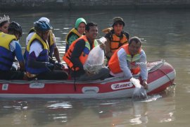 Pelindo III Lepas Ribuan Bibit Nila di Kalimas