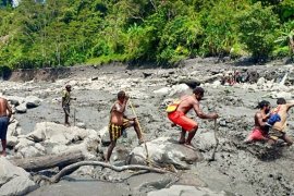 BNN Bali gerebek gudang penyimpanan ganja