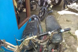 Warga Muara tewas dalam "laga kambing" septor