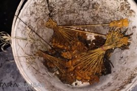 Pasangan Suami isteri jalani sidang perdana kasus sate daging babi