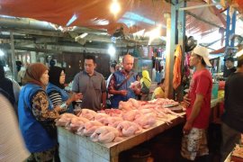 Disperindagkop Singkawang akan sidak peternak ayam