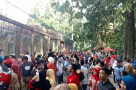 Awal tahun pengunjung Taman Hewan Siantar belasan ribu orang