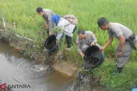 Satpol PP confiscate thousands of baby fish in Barabai