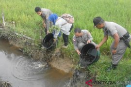 Satpol-PP HST sita ribuan anak ikan di Pasar Keramat