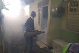 Dinkes Kota Bogor temukan 11 kasus DBD