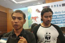 Populasi trenggiling di Indonesia  terancam punah