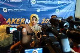 Barantan luncurkan gerakan milenial masuki pasar ekspor