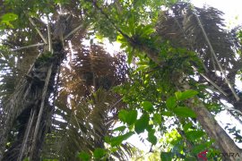 Tim Gerbangmas Survei Potensi Ekonomi Kampung