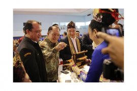 Gubernur Ridho Apresiasi Kesuksesan Penyelenggaraan Bulan Bakti Karang Taruna Tingkat Nasional 2019