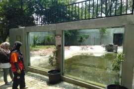 TSTJ terus berbenah menuju kebun binatang Tipe A