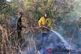 Menyoal karhutla di Aceh yang tidak pernah usai