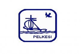 Pelkesi tingkatkan pengetahuan kader posyandu-kesehatan Sigi tentang ASI