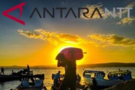 Perilaku Portir di Pelabuhan Terong lebih gila