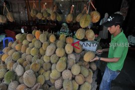 Renovasi destinasi wisata sentra durian Kuto Page 2 Small