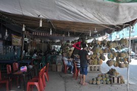 Renovasi destinasi wisata sentra durian Kuto Page 4 Small