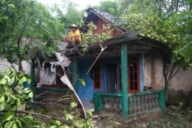 Warga Bojonegoro Diminta Waspadai Angin Kencang