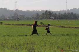 Siswa Naik Rakit Bambu Ke Sekolah Page 2 Small