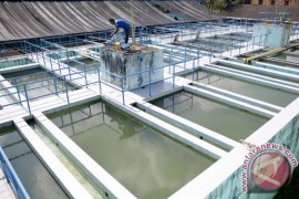 KSO Adhi Karya-Adaro pemenang proyek air Dumai