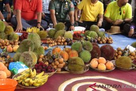Festival buah lokal kuak kekayaan alam Kalsel