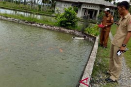 Target swasembada ikan air tawar, Nagan Raya zonasisasi perikanan