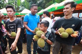 Festival buah