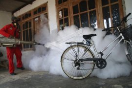 DBD Kota Gorontalo Mengalami Penurunan Kasus