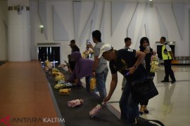 Penumpang Pertama Tiba Di 2019 Dapat Kejutan