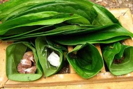Manfaat dan bahaya dari tradisi menyirih