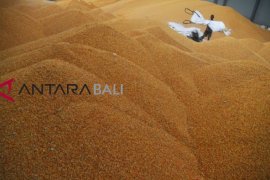 Bulog buka lelang impor jagung tambahan 150.000 ton