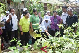 Istri Gubernur Bali serahkan penghargaan "Hatinya" PKK di Buleleng
