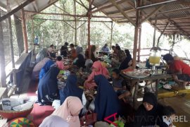 Makan "bedulang" jadi daya tarik wisatawan Hutan Pelawan