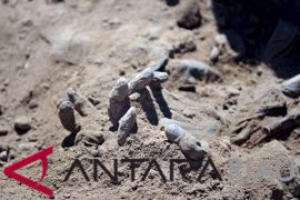 Kelompok bersenjata bunuh 37 warga sipil di Mali