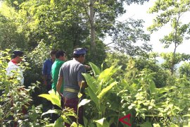 Klungkung kembangkan wisata alam desa