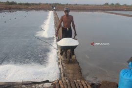 Garam Petani Probolinggo Dijual ke Luar Daerah