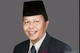 Dapil III, PKB target dua kursi DPRD Tapanuli Selatan