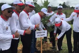 Ribuan Pohon Ditanam di Pekanbaru