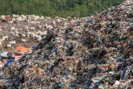 Sampah rumah tangga Kota Bekasi jadi 900 ton per hari