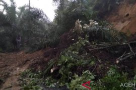 Longsor tutup jalan penghubung desa di Singkil