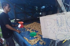 Duku dan manggis dari Jambi banjiri Kota Rantauprapat