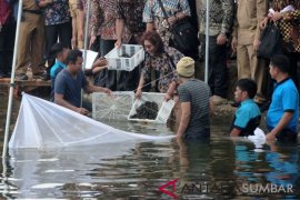 BUDIDAYA LOBSTER DANAU KERINCI Page 1 Small