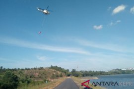 40 hektare hutan lindung Batam terbakar
